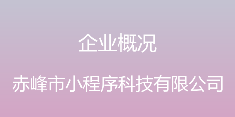 企业概况 - 赤峰市小程序科技有限公司